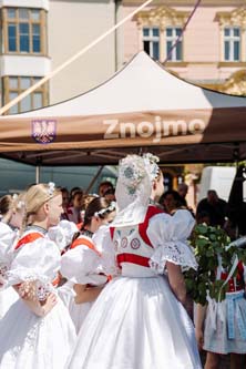 Festival vína VOC Znojmo